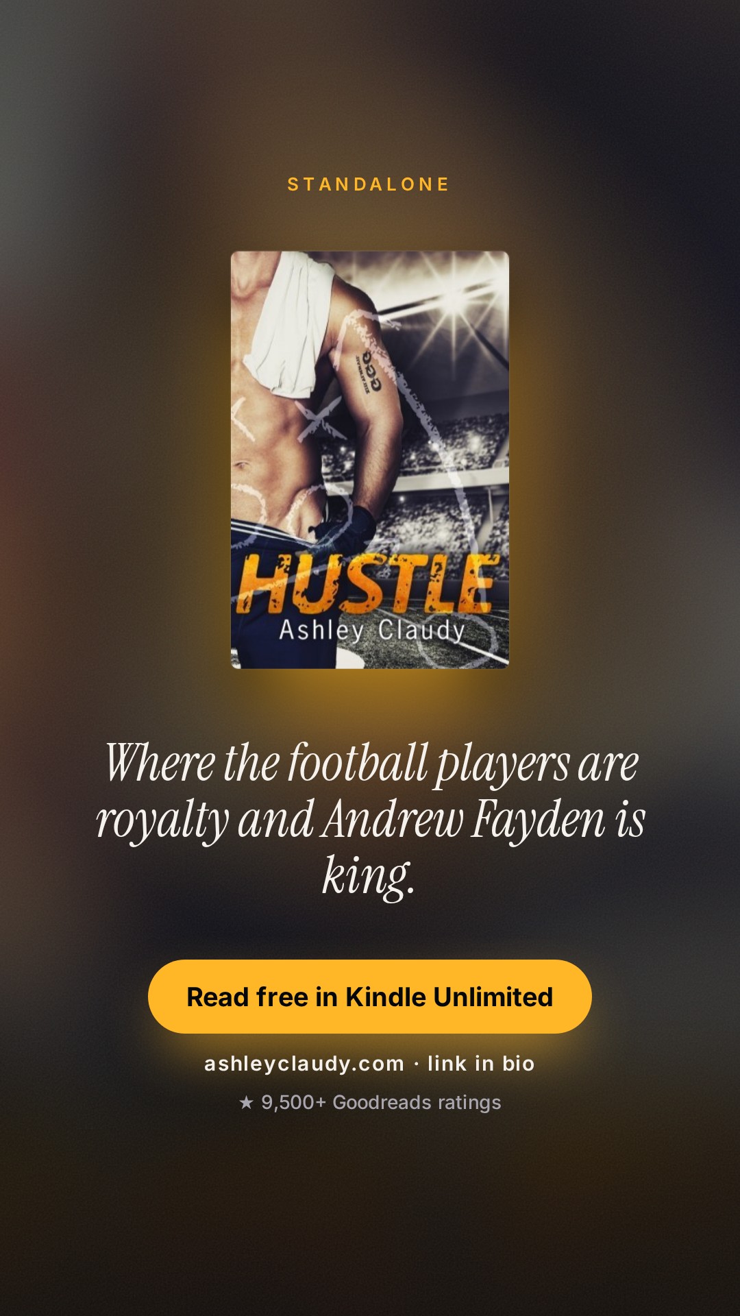 Hustle story image preview